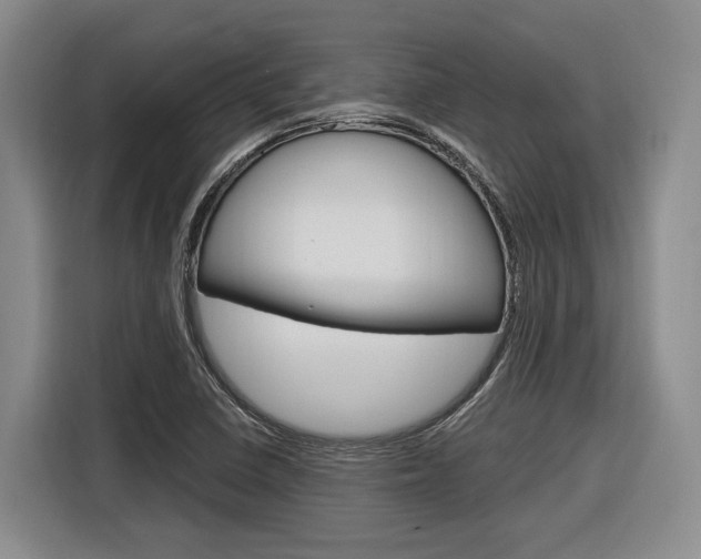 X0000116891410200912220955