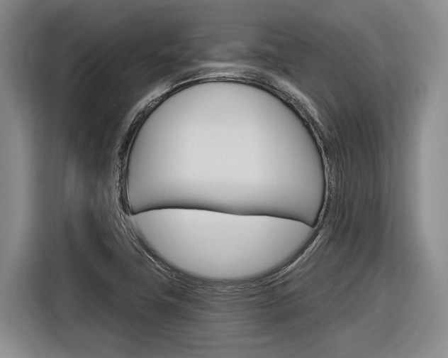 X0000116891411200912220955
