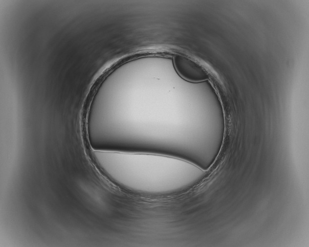 X0000116891412200912220955