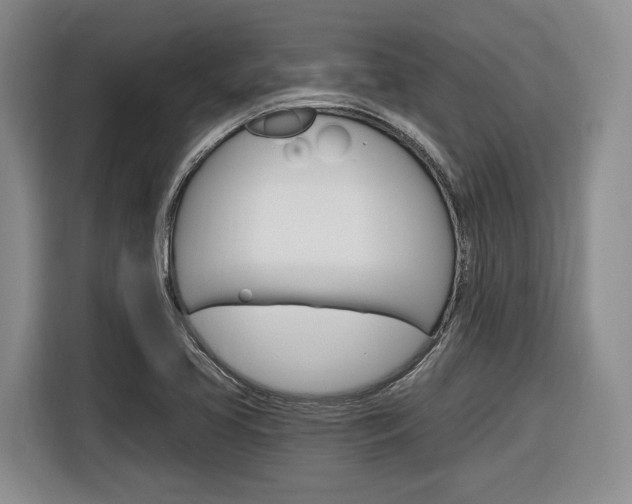 X0000116891413200912220955