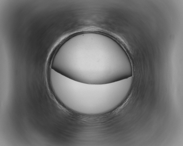 X0000116891414200912220955