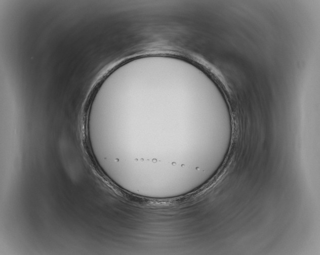 X0000116891415200912220955