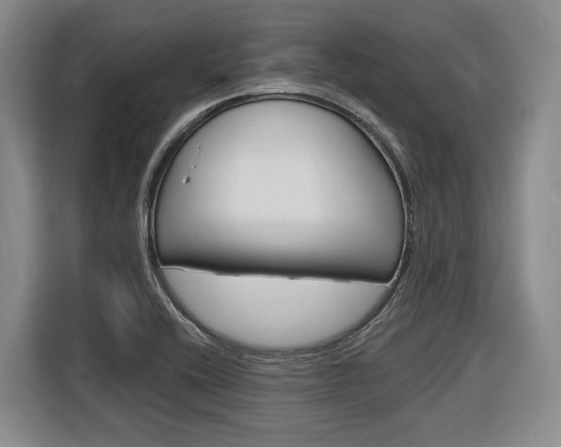 X0000116891416200912220955