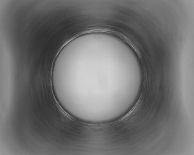 X0000116891417200912220955