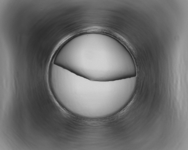 X0000116891418200912220955