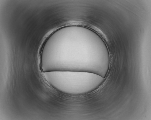 X0000116891419200912220955