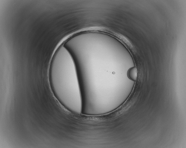 X0000116891420200912220955