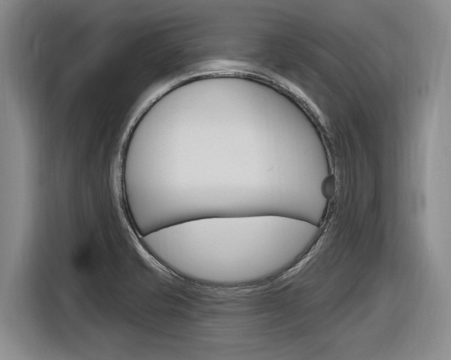 X0000116891421200912220955