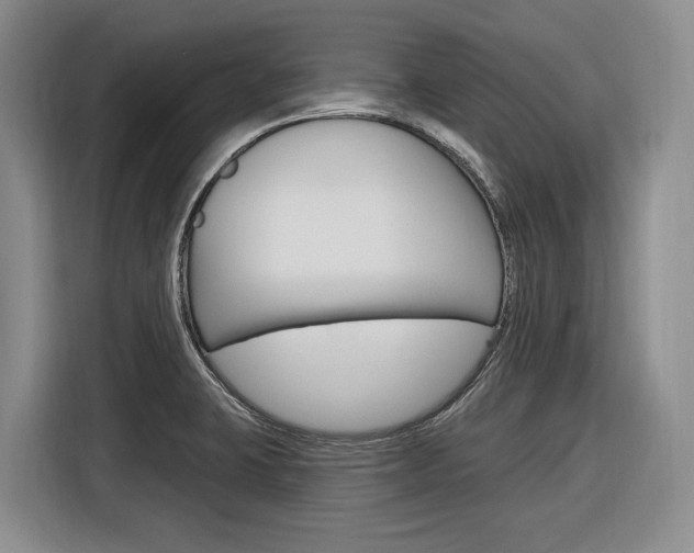 X0000116891423200912220955