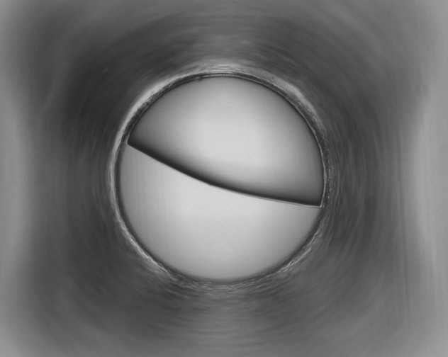 X0000116891424200912220955