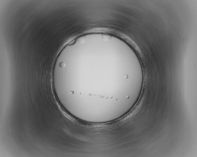 X0000116891425200912220955