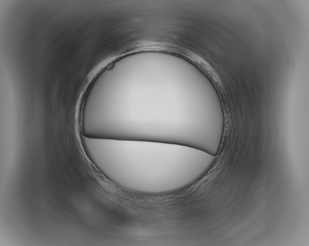 X0000116891427200912220955
