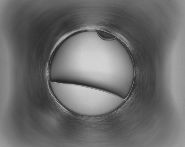 X0000116891428200912220955