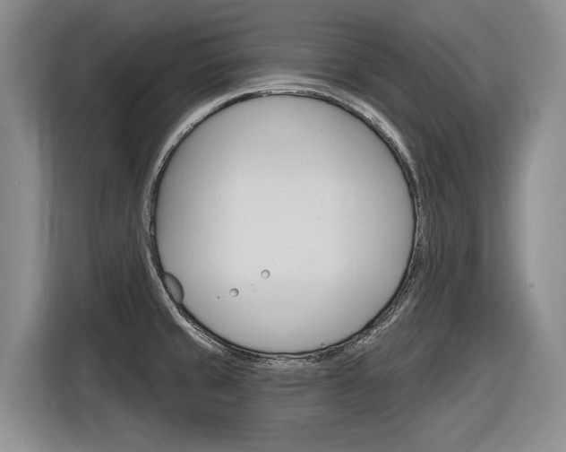 X0000116891429200912220955
