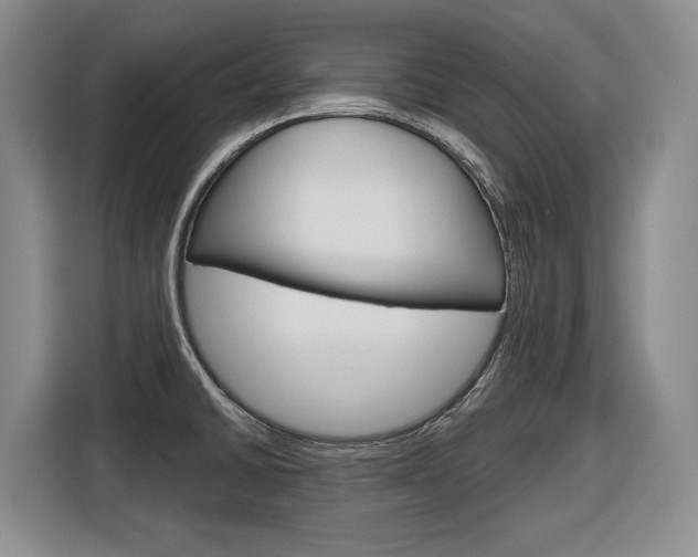 X0000116891430200912220955