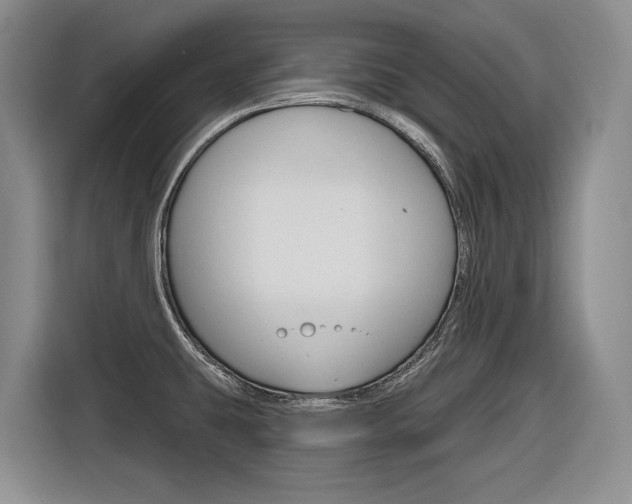 X0000116891431200912220955