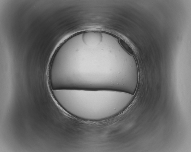 X0000116891432200912220955