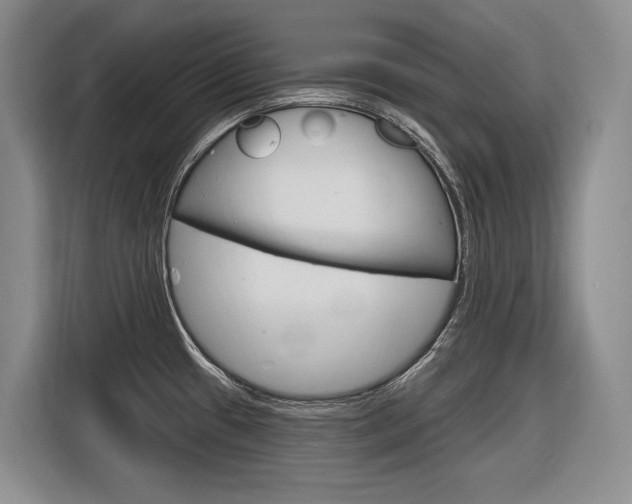 X0000116891433200912220955