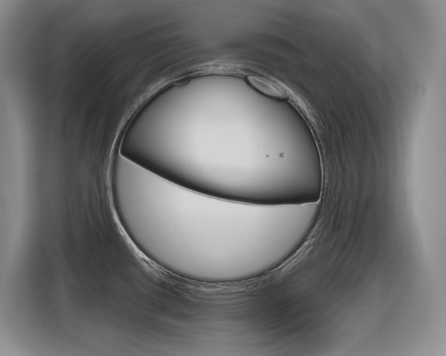 X0000116891434200912220955