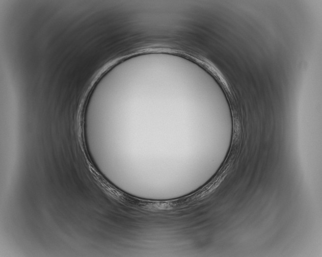 X0000116891435200912220955