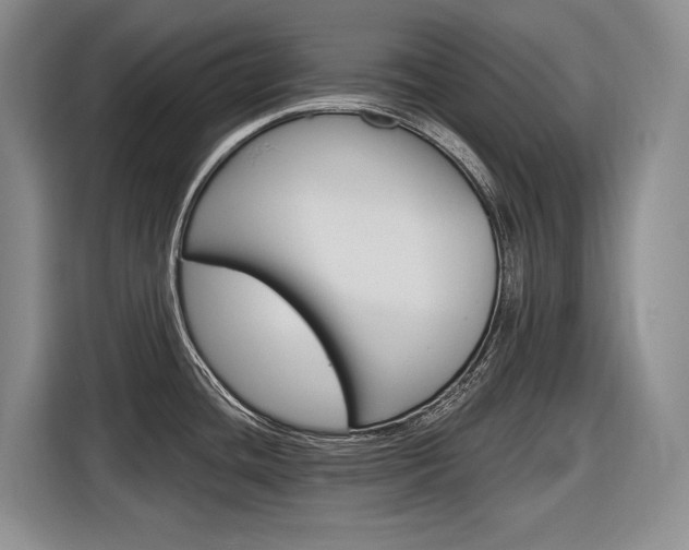 X0000116891436200912220955