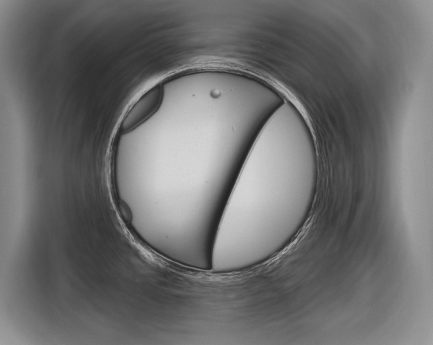 X0000116891437200912220955