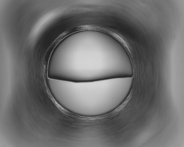 X0000116891438200912220955