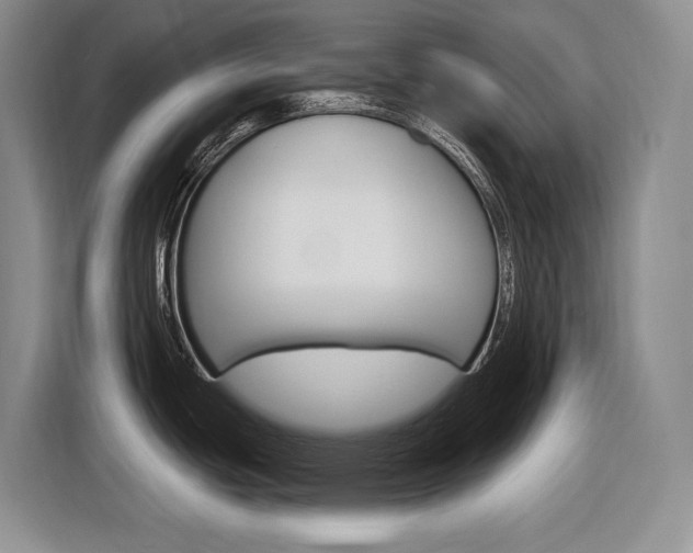 X0000116891439200912220955