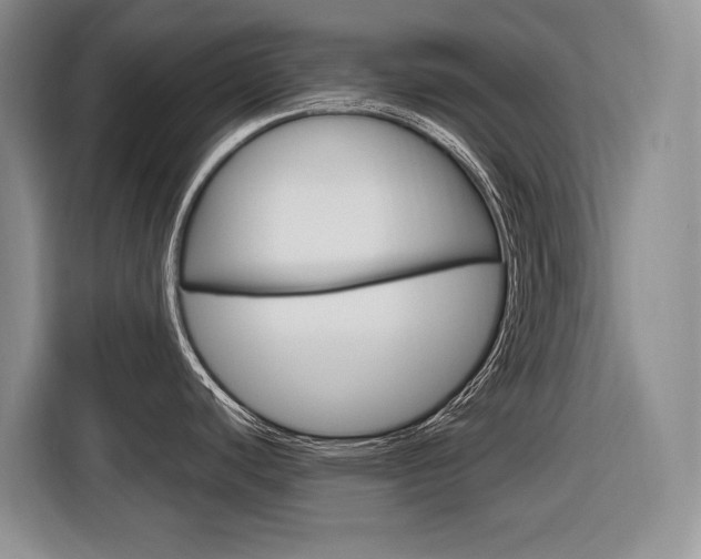 X0000116891440200912220955