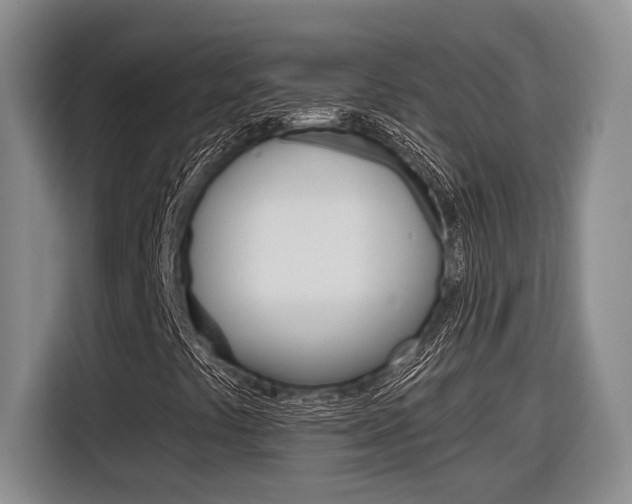 X0000116891441200912220955