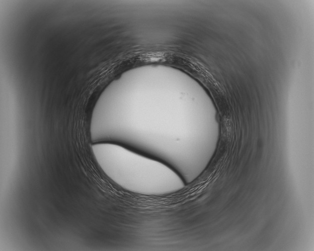 X0000116891442200912220955