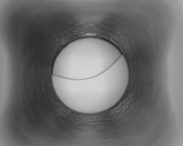X0000116891443200912220955
