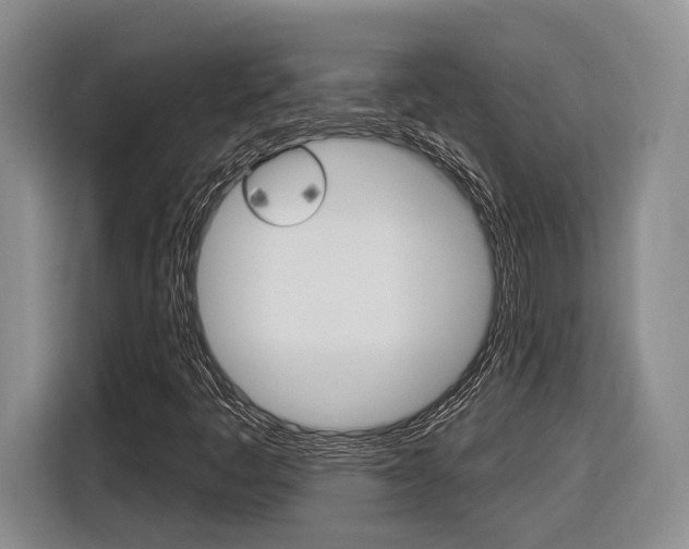 X0000116891445200912220955