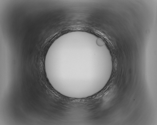 X0000116891446200912220955