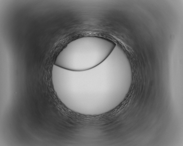 X0000116891447200912220955