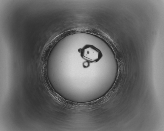 X0000116891448200912220955