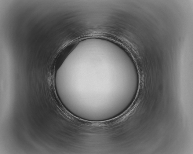 X0000116891449200912220955