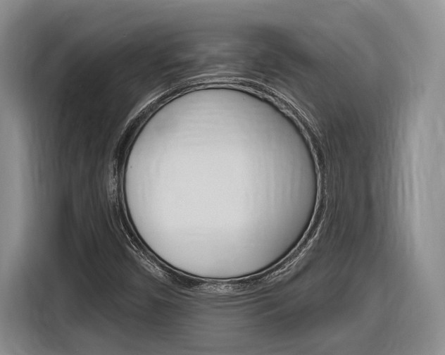 X0000116891450200912220955