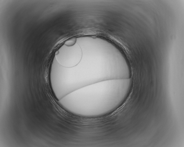 X0000116891451200912220955