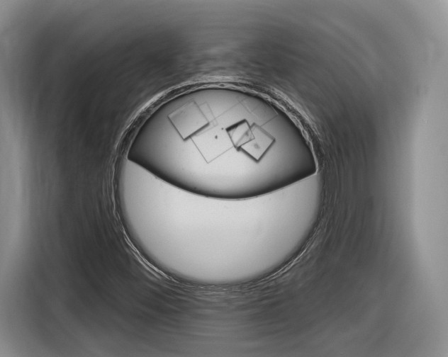 X0000116891452200912220955