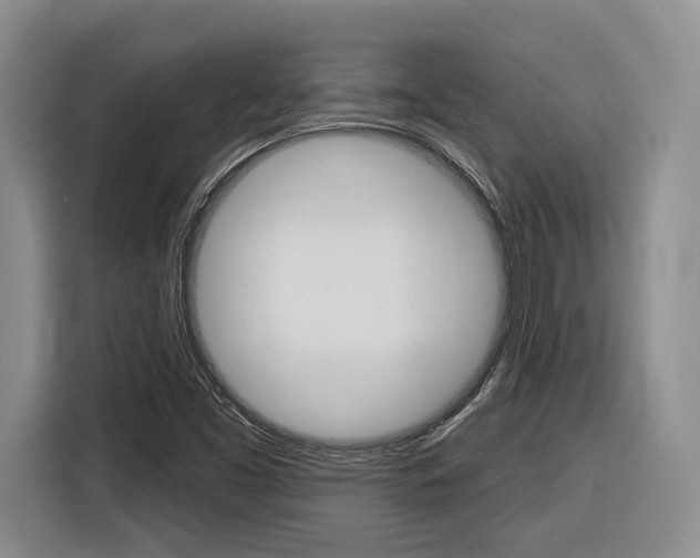 X0000116891453200912220955