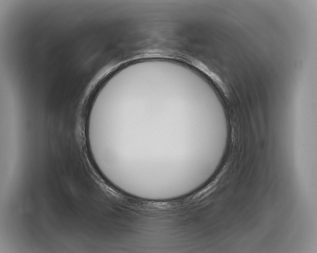 X0000116891454200912220955