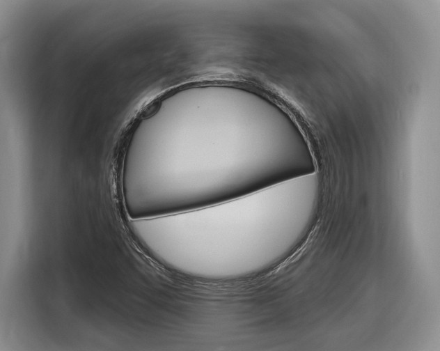 X0000116891455200912220955