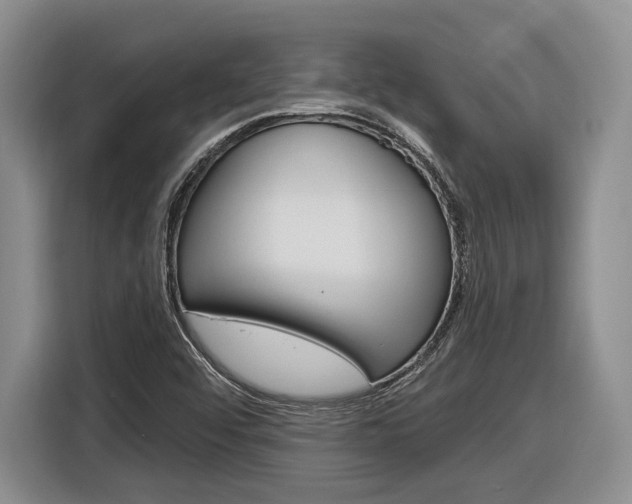 X0000116891456200912220955