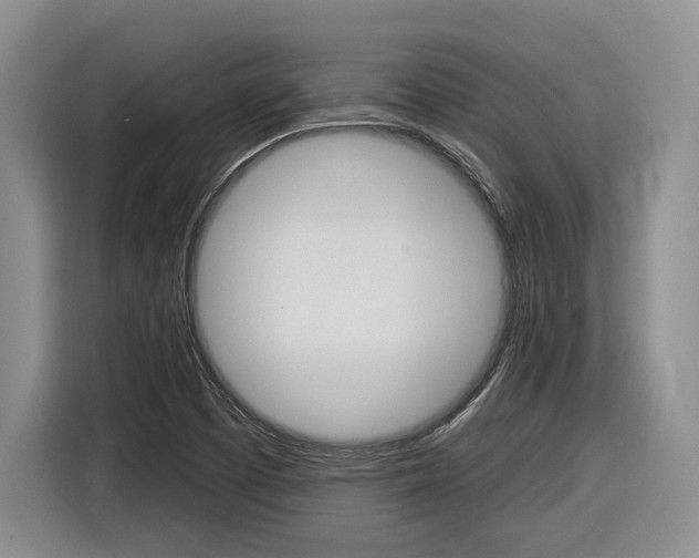 X0000116891457200912220955