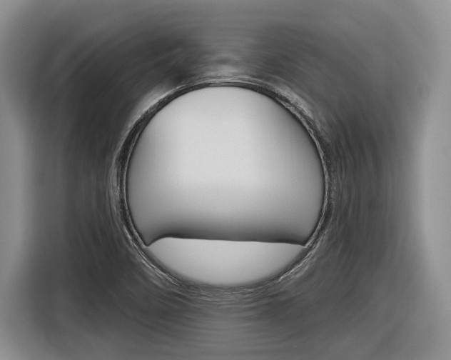 X0000116891458200912220955