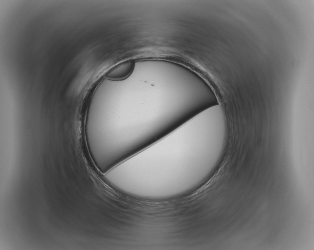 X0000116891459200912220955