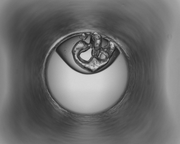 X0000116891460200912220955