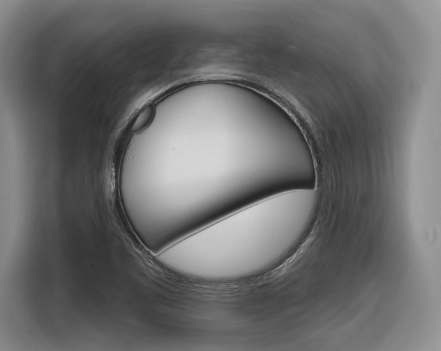 X0000116891461200912220955