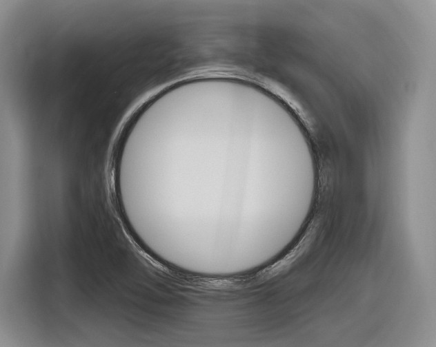 X0000116891462200912220955